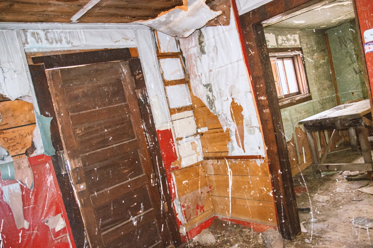 Mold Remediation service in Cleveland, TN