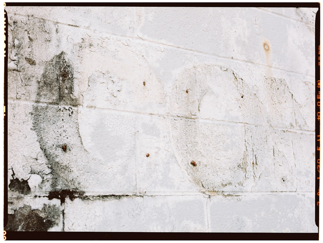 Water Extraction service in Cleveland, TN