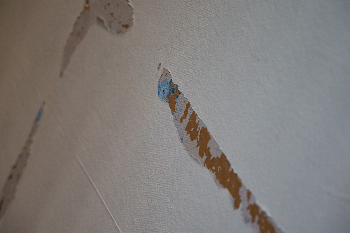 Structural Drying service in Cleveland, TN